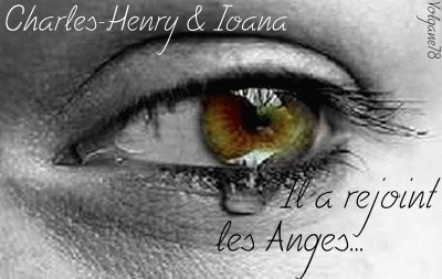 L'arrivée d'un ange parmi les anges...