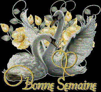 Bonne semaine à tous et à toutes...
